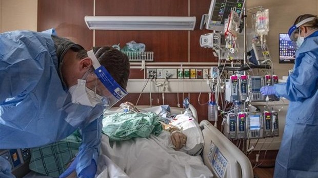 Mối liên hệ giữa giới tính với khả năng phục hồi Covid-19