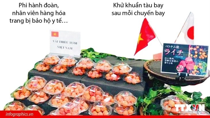 Gần 10 tấn vải thiều Bắc Giang xuất sang Nhật Bản bằng đường hàng không