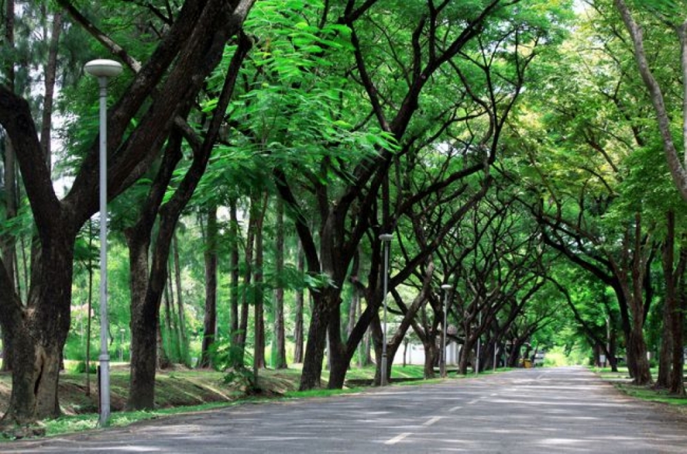 Mẹo đối phó với tình trạng mẩn ngứa do nắng nóng