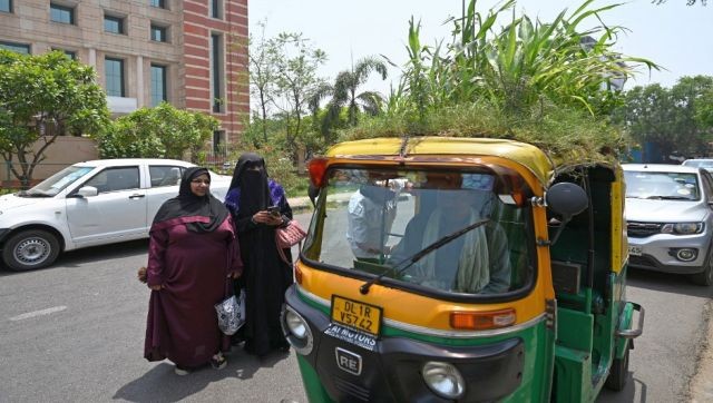 Người đàn ông Ấn Độ trồng cả vườn cây trên mái xe lam để chống nắng