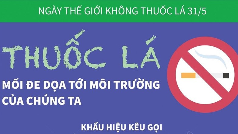 Thuốc lá - Mối đe dọa tới môi trường của chúng ta