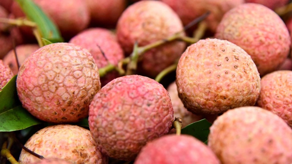 Quả vải và những tác dụng đối với sức khỏe