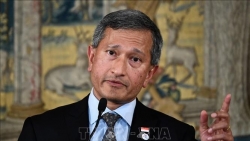 Singapore cam kết hợp tác chặt chẽ với Việt Nam phục hồi sau đại dịch