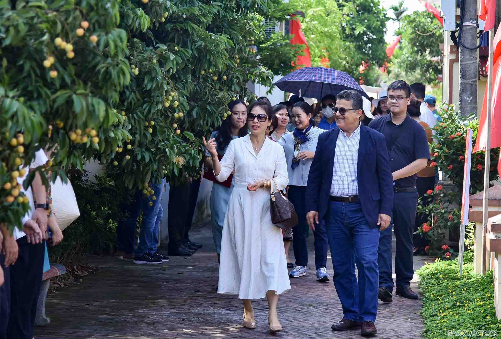 Bè bạn quốc tế thăm quan cây vải tổ, trải nghiệm hái vải và làm bánh đậu xanh tại Hải Dương