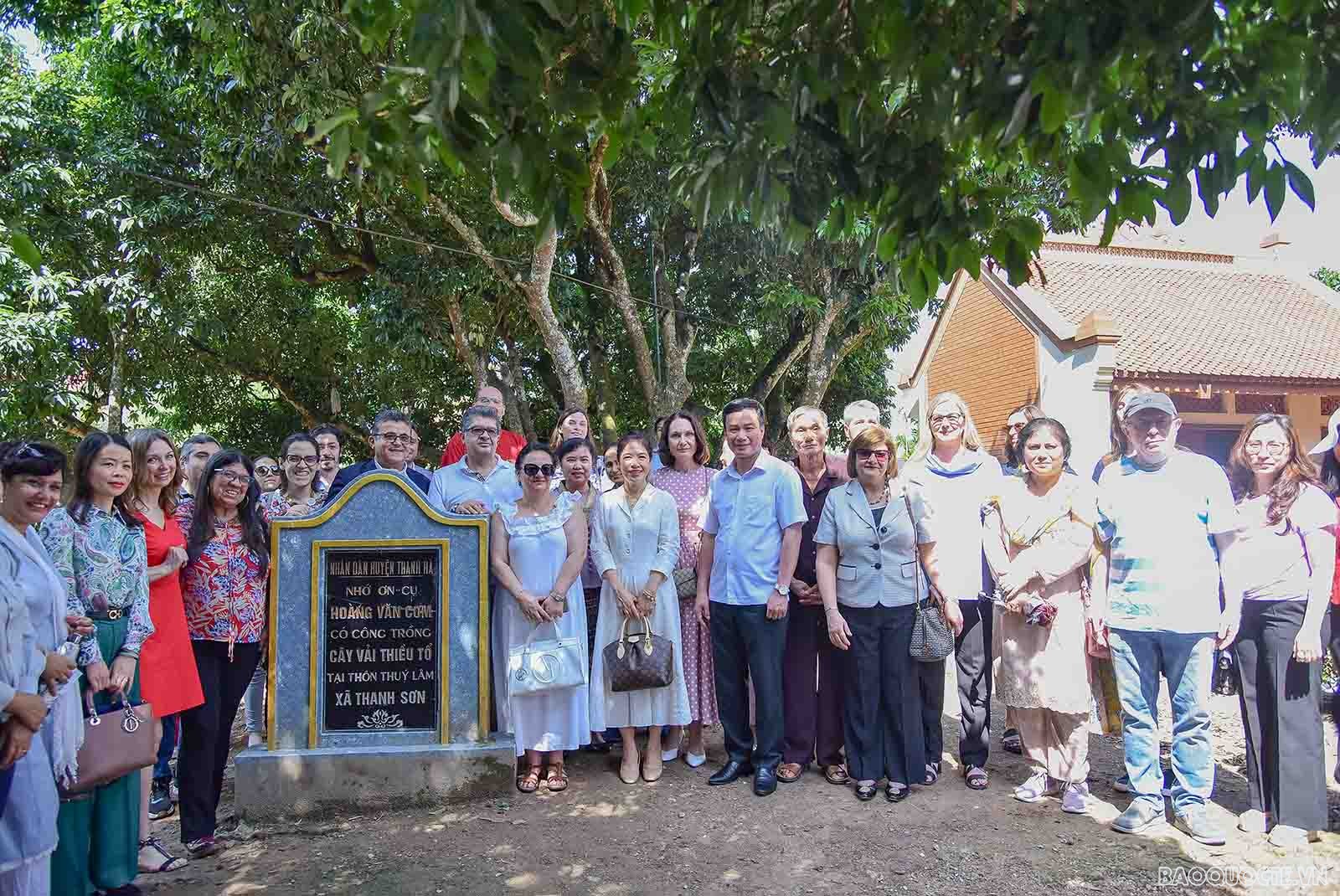 Bè bạn quốc tế thăm quan cây vải tổ, trải nghiệm hái vải và làm bánh đậu xanh tại Hải Dương