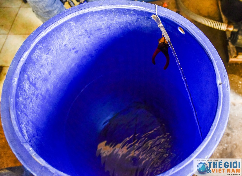 Ấn tượng hệ thống năng lượng mặt trời, gió từ quần đảo Trường Sa an tuong he thong nang luong mat troi gio tu quan dao truong sa