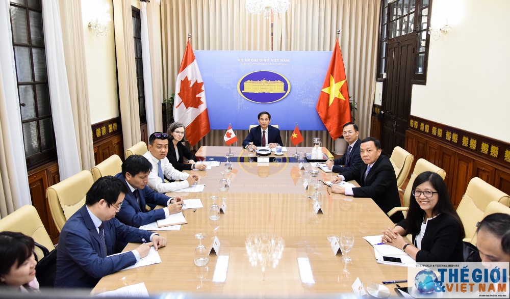 tham van chinh tri viet nam canada theo hinh thuc truc tuyen