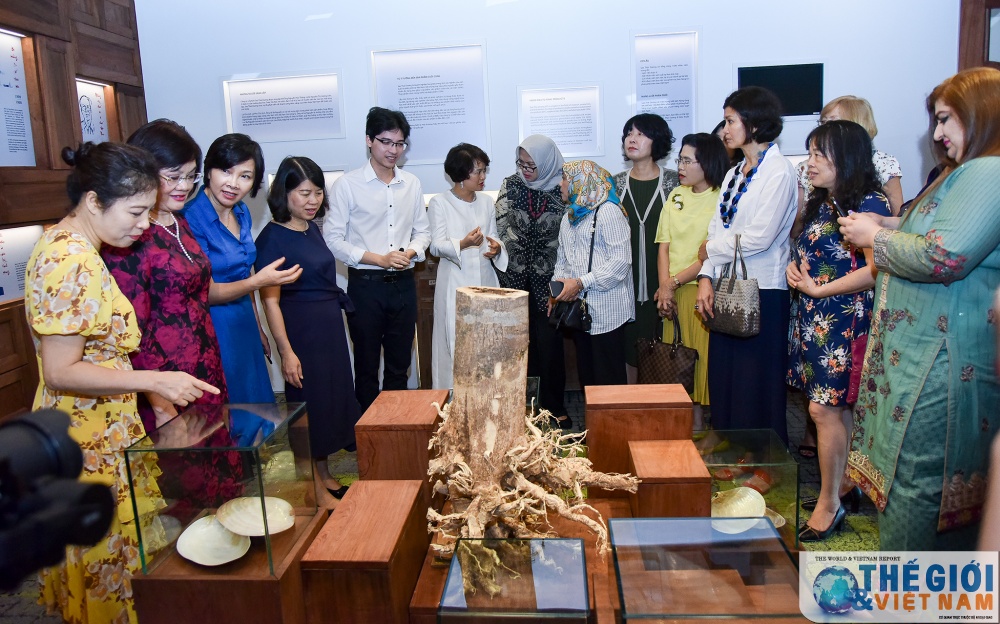 nhom awch tim hieu ve cac san pham cham soc suc khoe tu thao duoc cua viet nam