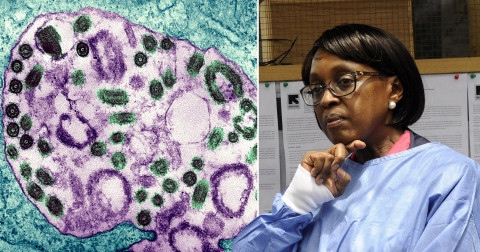 WHO khuyến cáo loại virus gây chết người xuất hiện trở lại. Ảnh: Getty / Shutterstock)