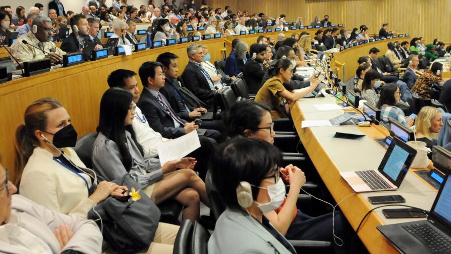 Liên hợp quốc nhất trí sớm đạt thoả thuận cuối cùng về đa dạng sinh học ngoài vùng tài phán quốc gia