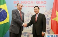 cac doanh nghiep hang dau brazil tim kiem co hoi hop tac voi viet nam