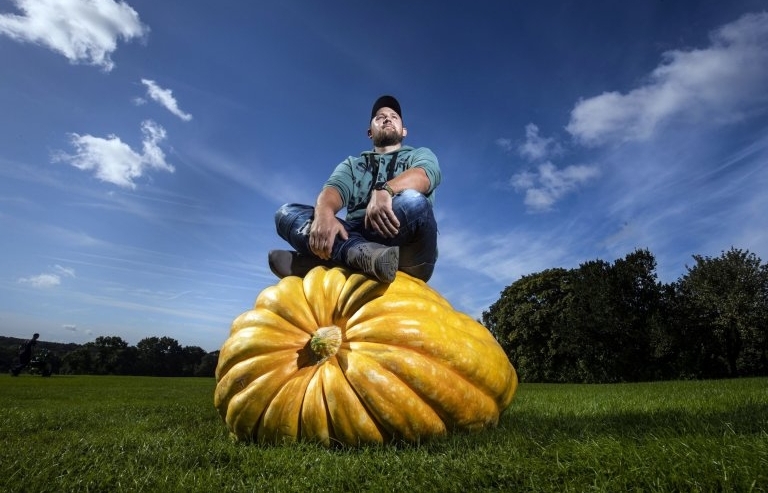 Sửng sốt với rau củ siêu to khổng lồ như chỉ có trong truyện cổ tích