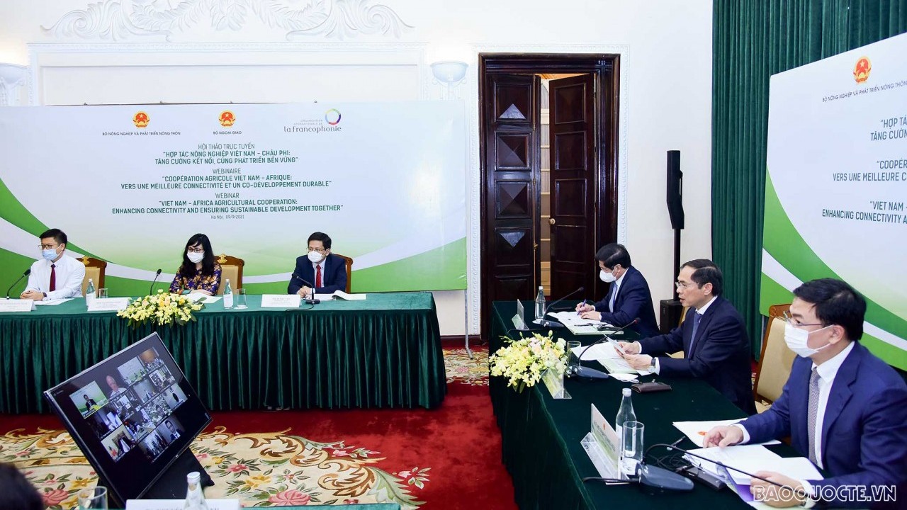 Đa dạng ngoại giao kinh tế Việt Nam tại Trung Đông - châu Phi