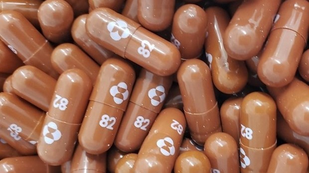 Hàn Quốc 'săn lùng' thuốc điều trị Covid-19