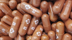 Hãng dược Merck: Thuốc Molnupiravir có thể chống lại Omicron và bất kỳ biến thể nào khác