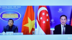 Việt Nam và Singapore trao đổi kinh nghiệm ứng phó Covid-19 và phục hồi kinh tế