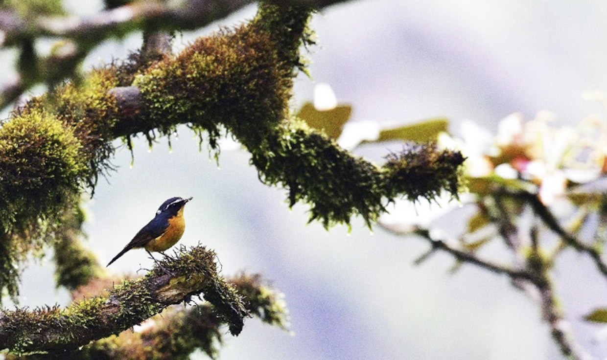 Hấp dẫn Kon Hà Nừng - Khu dự trữ sinh quyển của thế giới