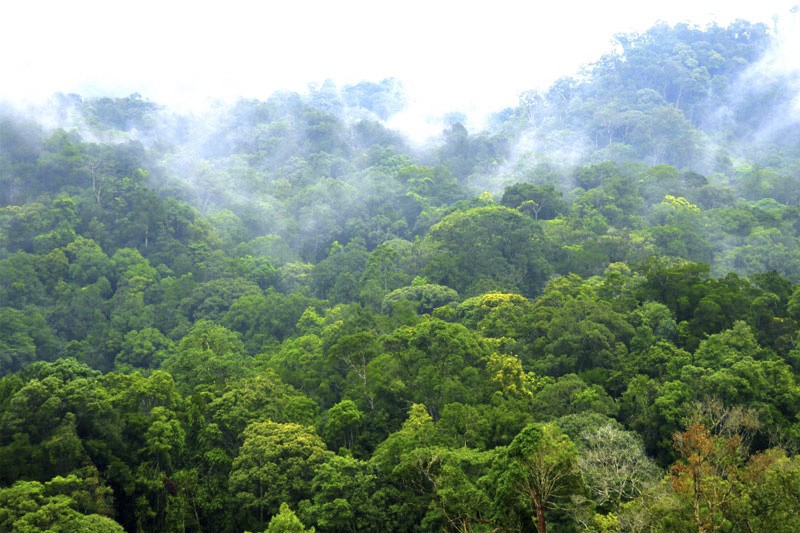 Hấp dẫn Kon Hà Nừng - Khu dự trữ sinh quyển của thế giới