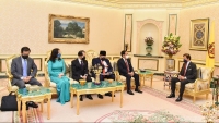 Quốc vương Brunei: Việt Nam là bạn, là đối tác quan trọng của Brunei ở khu vực