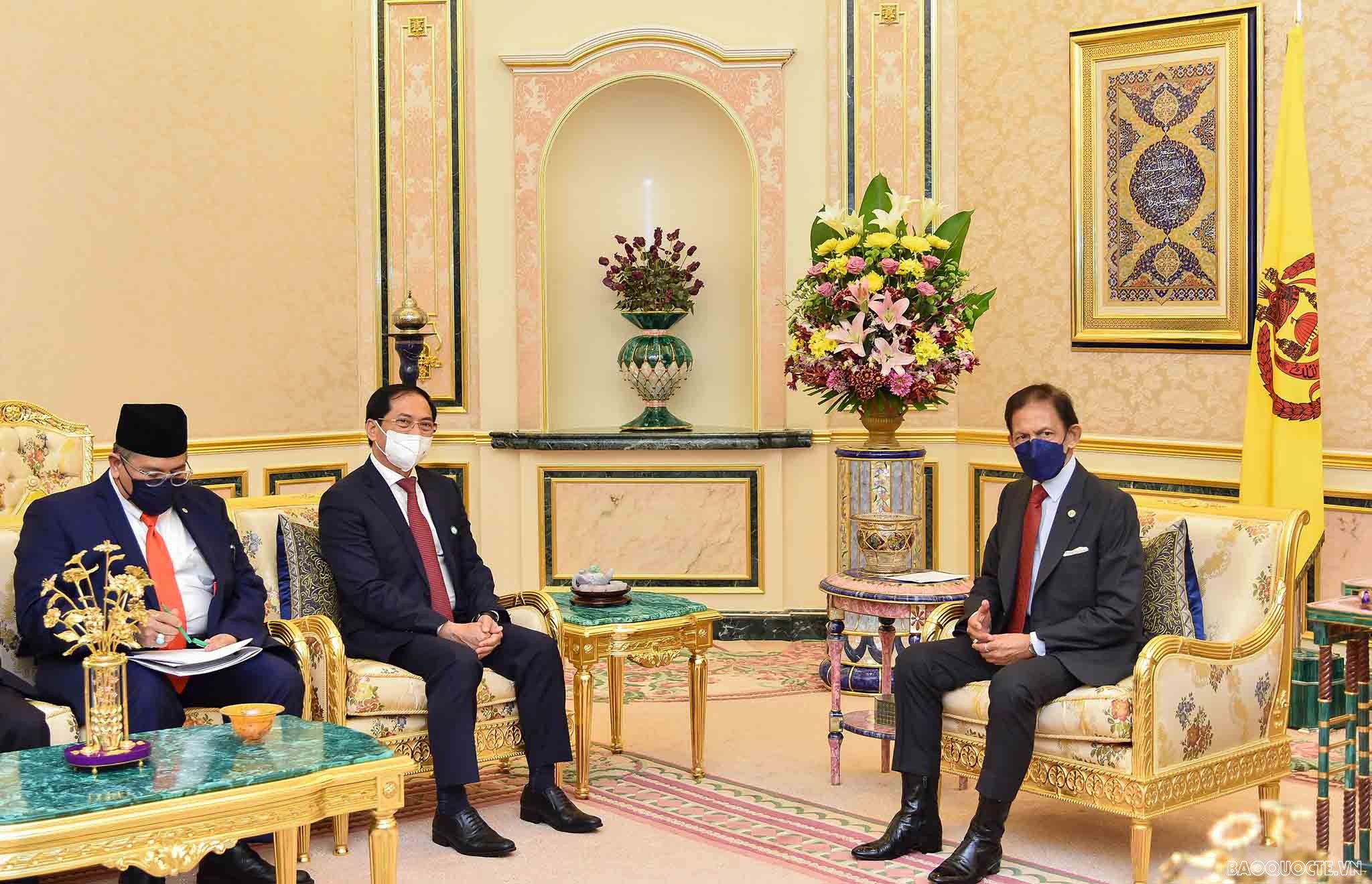 Bộ trưởng Ngoại giao Bùi Thanh Sơn thăm Brunei: Chuyến thăm nhiều kết quả