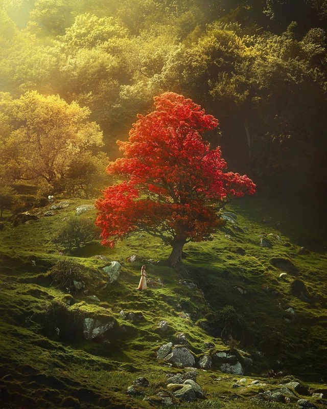 “Nín thở” trước những hình ảnh ngoạn mục của cặp đôi đưa nhau đi khắp thế gian nin tho truoc nhung hinh anh ngoan muc cua cap doi dua nhau di khap the gian