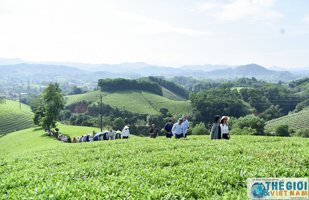 phong vien bao chi nuoc ngoai hat xoan tham doi che phu tho