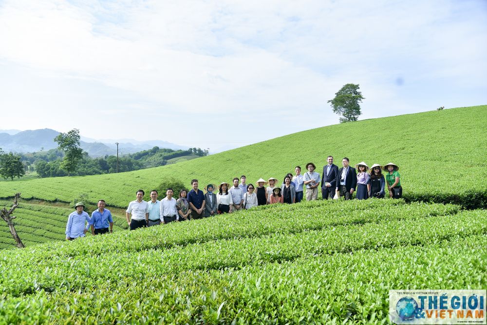 phong vien bao chi nuoc ngoai hat xoan tham doi che phu tho