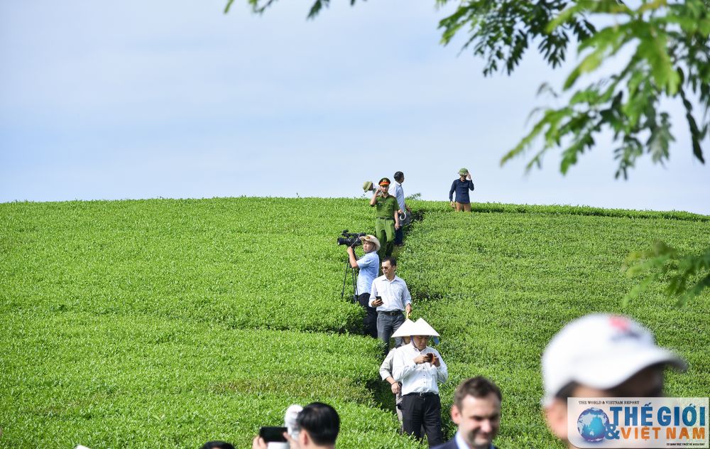 phong vien bao chi nuoc ngoai hat xoan tham doi che phu tho