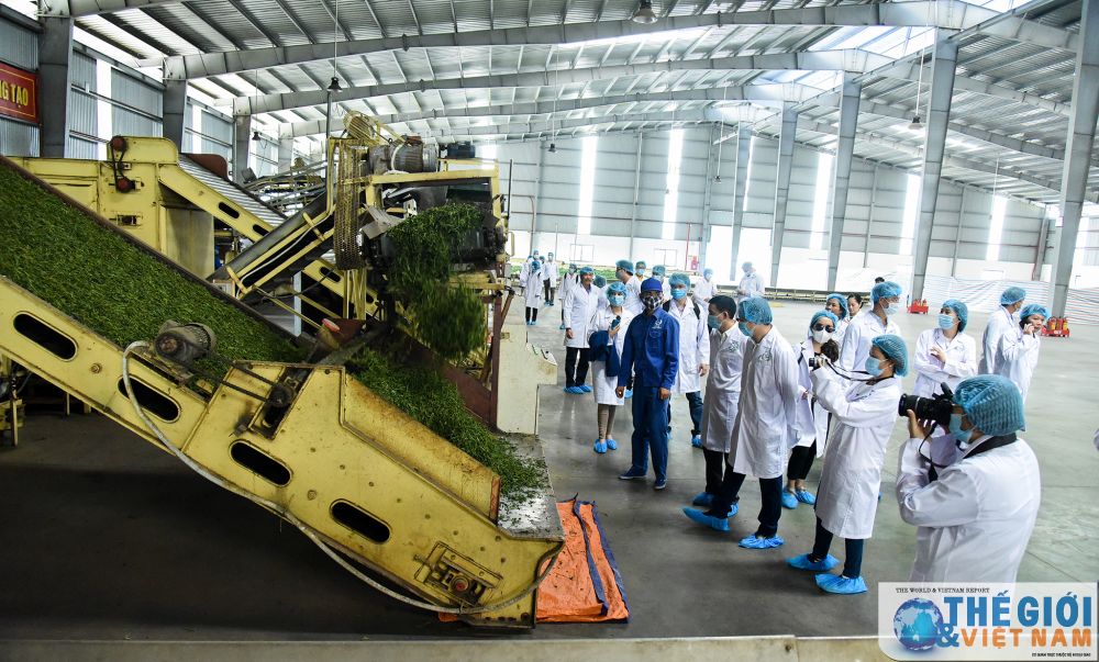 phong vien bao chi nuoc ngoai hat xoan tham doi che phu tho