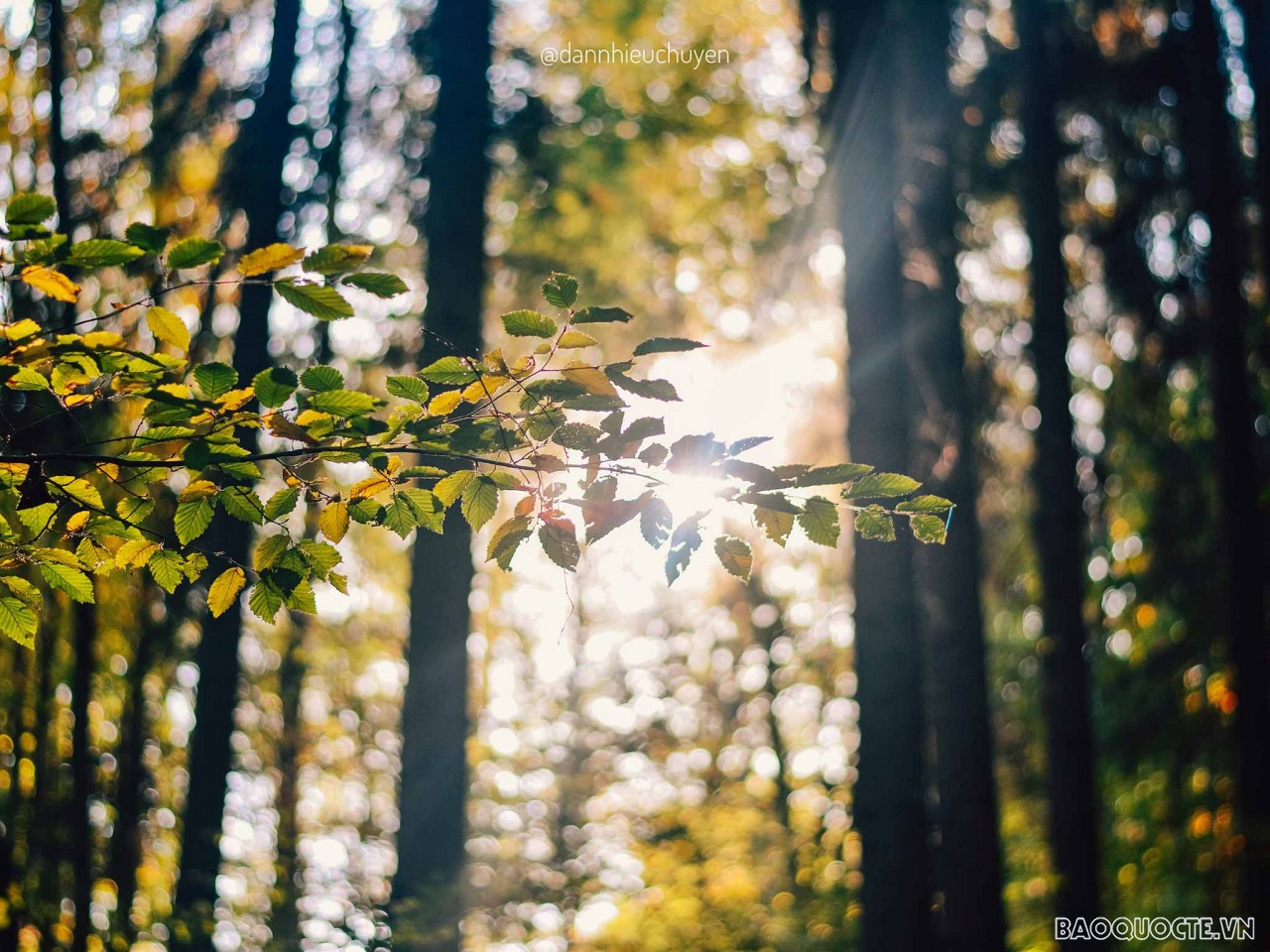 Mùa thu ở Bastei cũng nức tiếng gần xa và quả thật phong cảnh nơi này thật sự gây choáng ngợp. Hãy thử một lần tới với Bastei và chiêm ngưỡng.