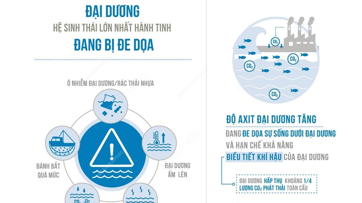 Con người đang đe dọa đại dương như thế nào?