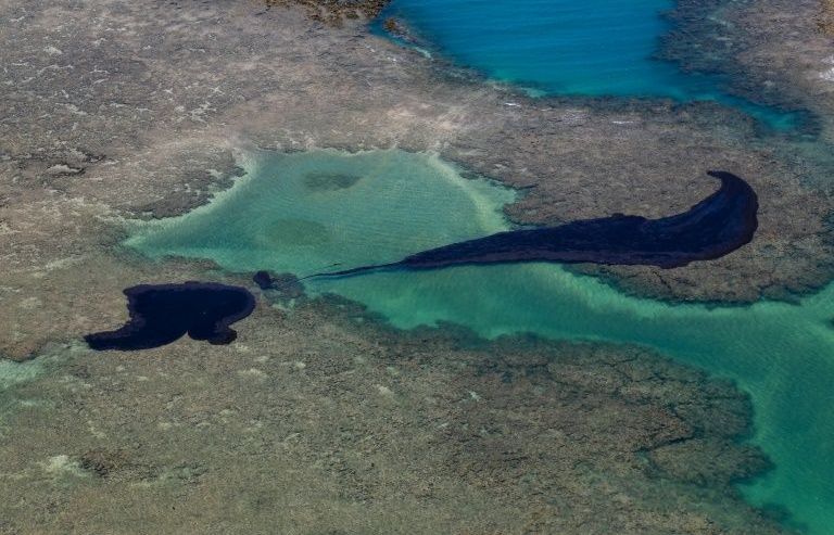 Brazil phát hiện các vệt dầu loang tới “thánh địa” của cá voi lưng gù