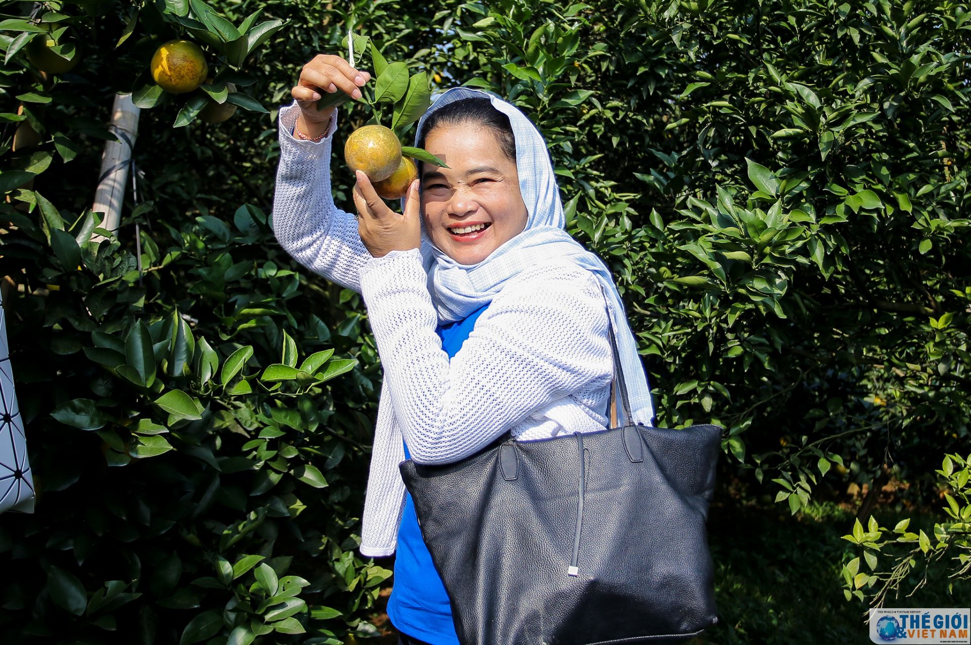 khi thanh vien nhom phu nu cong dong asean tai ha noi tro thanh nguoi lam vuon