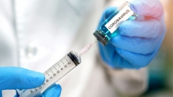 Lượng virus ở người đã tiêm vaccine khi nhiễm biến thể Delta là bao nhiêu?