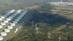 Nhật Bản có thể lần đầu tiên 'giải phóng' kho dầu dự trữ để ổn định giá