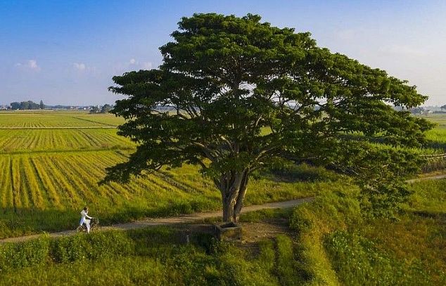 Check in những địa điểm tuyệt đẹp của phim “Mắt biếc” tại Huế