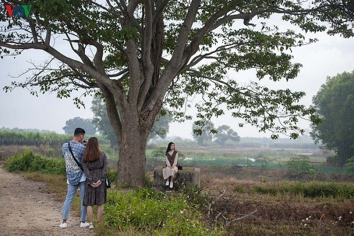 ngam nhung diem check in tuyet dep cua phim mat biec tai hue