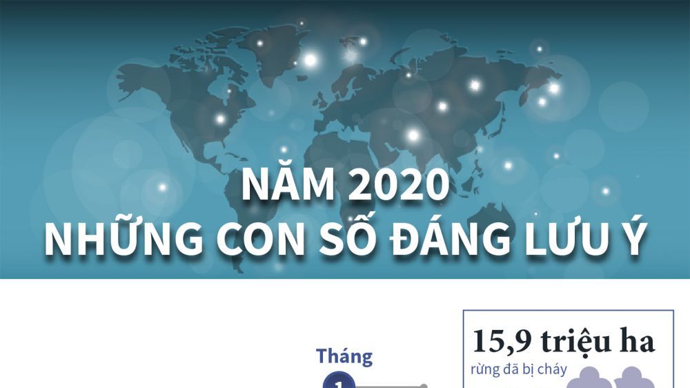Infographics: Thế giới năm 2020 qua những con số biết nói
