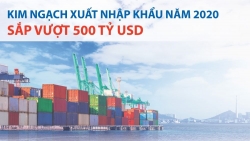 Kim ngạch xuất nhập khẩu năm 2020 sắp vượt 500 tỷ USD