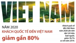 Khách quốc tế đến Việt Nam năm 2020 giảm gần 80%