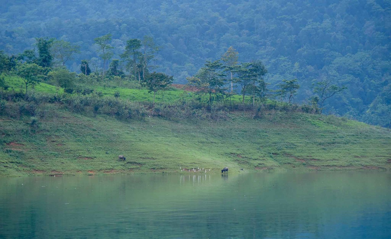 Về miền cao nguyên đá Đông Văn