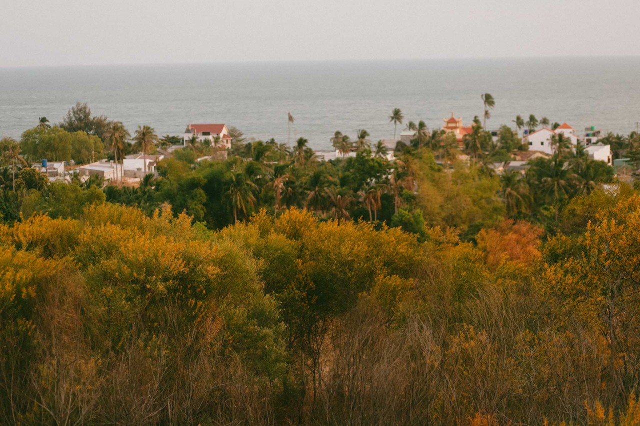 Lang thang những cung đường Bình Thuận