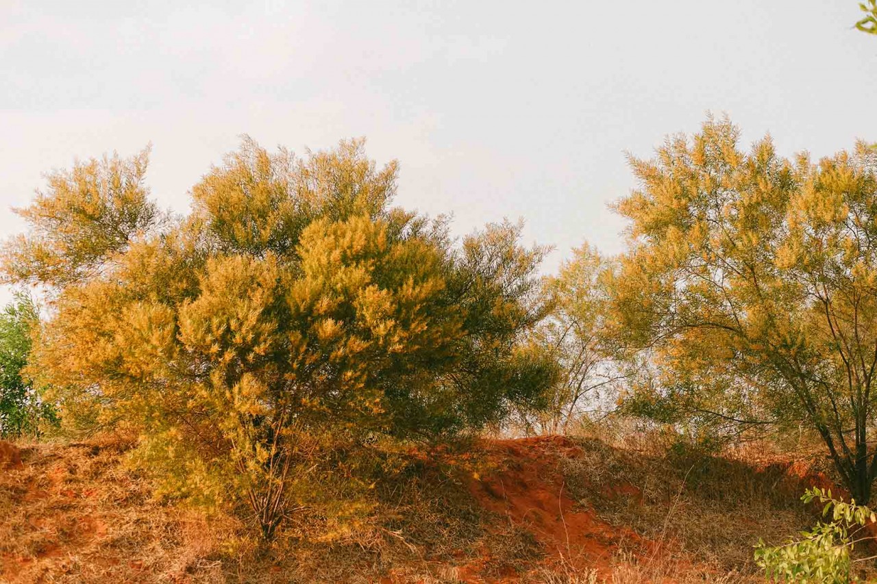 Lang thang những cung đường Bình Thuận