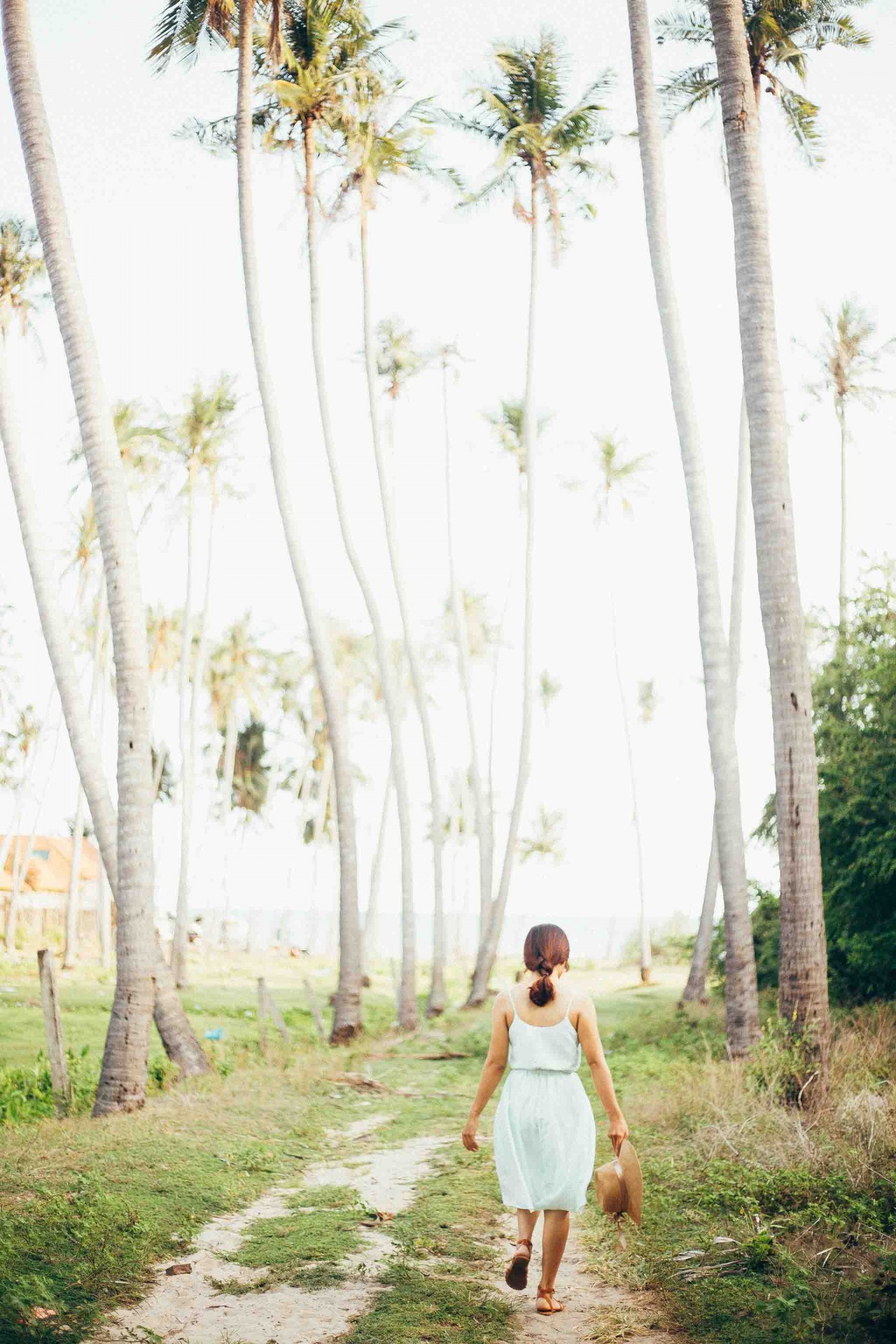 Lang thang những cung đường Bình Thuận