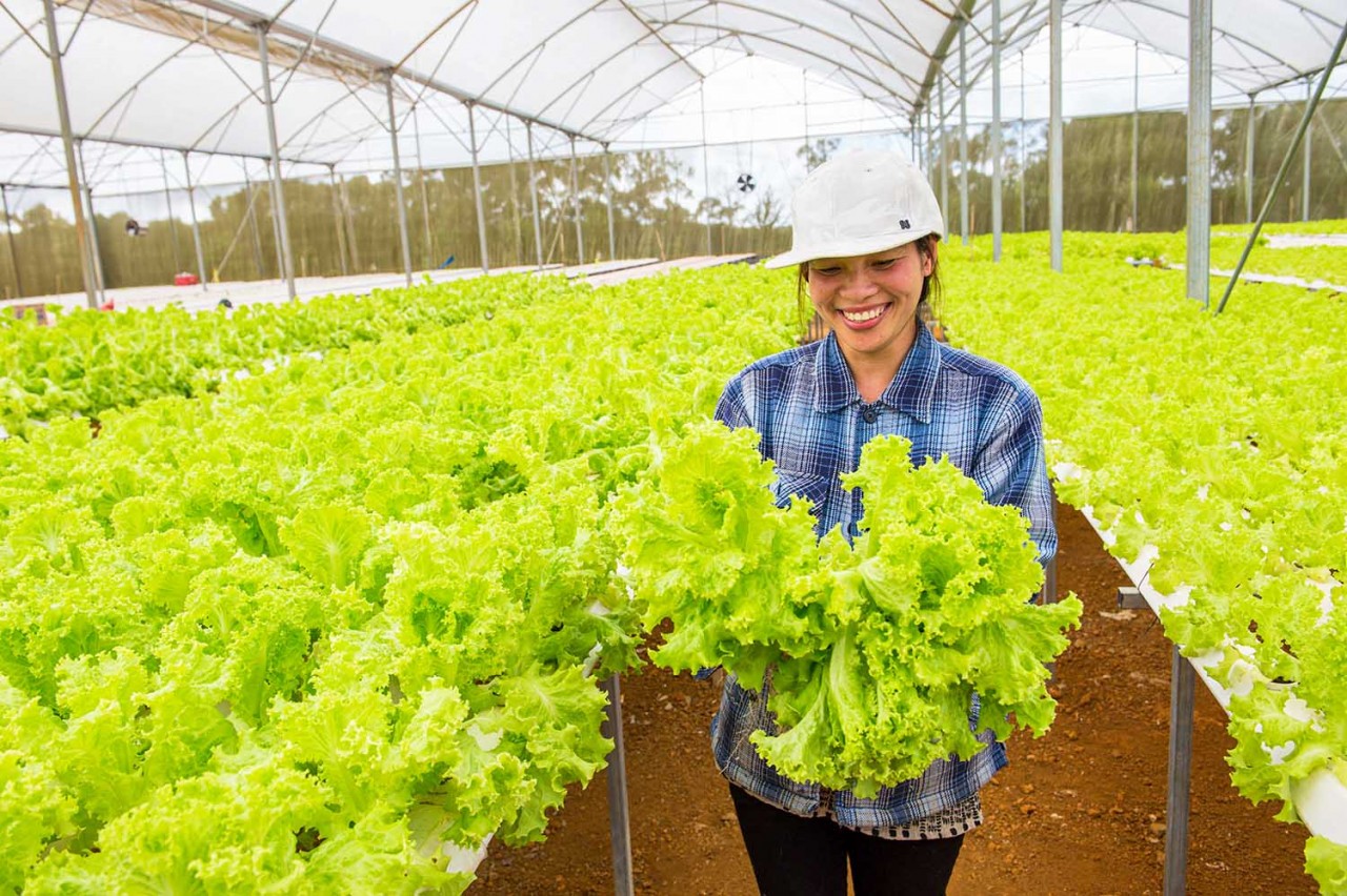 Khám phá Măng Đen Khám phá Măng Đen