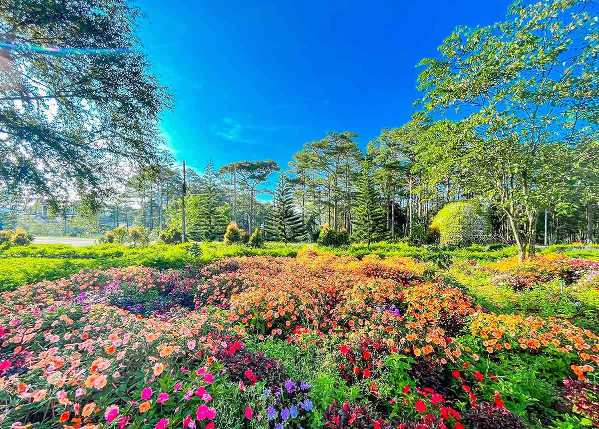 Khám phá Măng Đen Khám phá Măng Đen