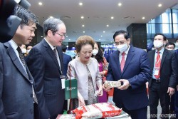 Ngành Ngoại giao góp phần làm nên thành công của nông sản và thương hiệu Việt