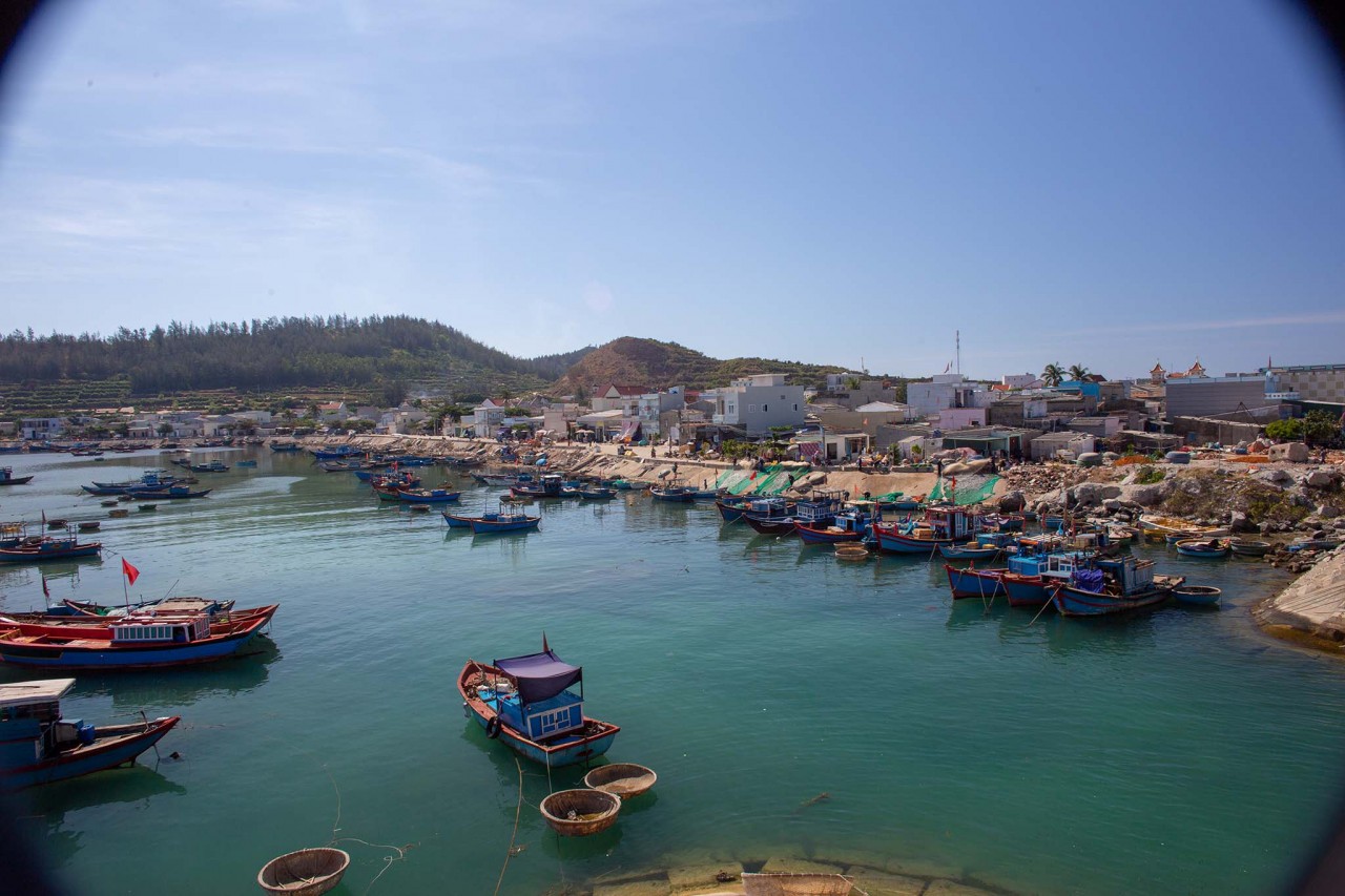 Cuộc sống chính của người dân trên đảo là đánh bắt, nuôi trồng hải sản và sản xuất nông nghiệp với hai sản phẩm nổi tiếng là tỏi và hành. Những năm gần đây du lịch cũng là nguồn thu lớn cho nhân dân trên đảo.