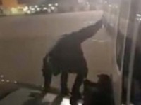 chuyen bay bi hoan do hanh khach mang dong vat ho tro cam xuc