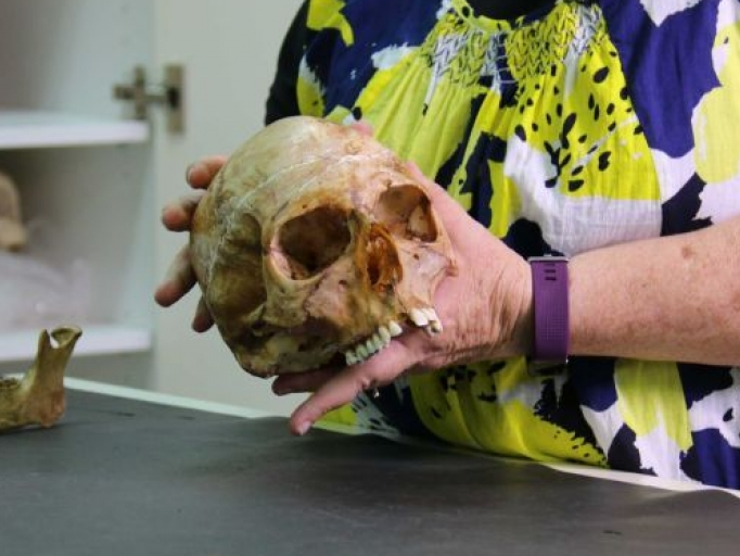 Phát hiện chấn động: Người cổ đại sống thọ trung bình 70 tuổi